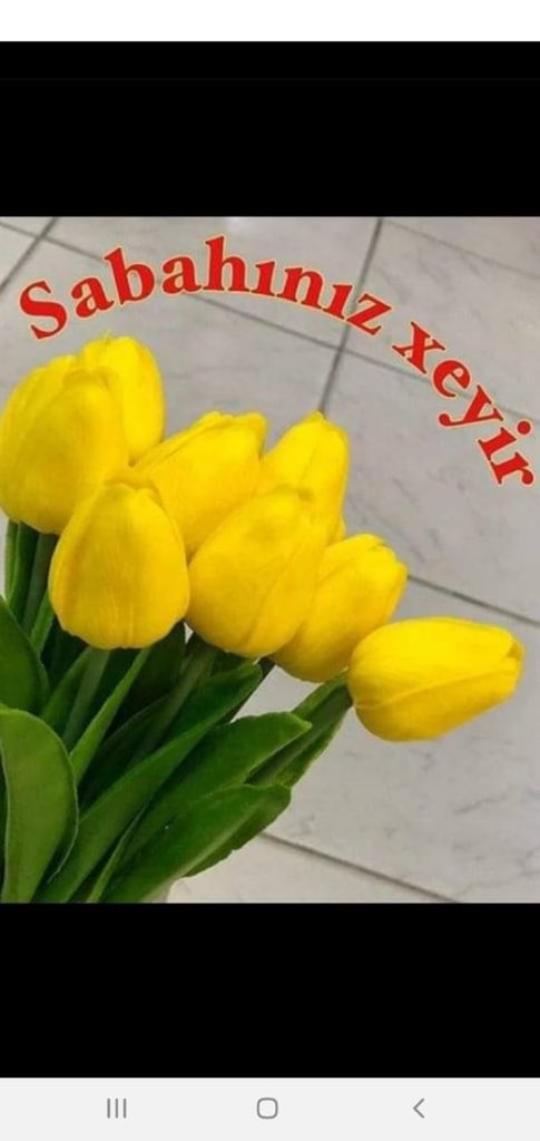 Mehman (@mehman93675843) on Twitter photo 