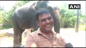 ndtv's tweet photo. Bihar man wills his property to his elephants Moti and Rani. "Animals are faithful, unlike humans. Don't want my elephants to be orphaned after I die," he says (news agency ANI). https://t.co/dWorSoLDWs