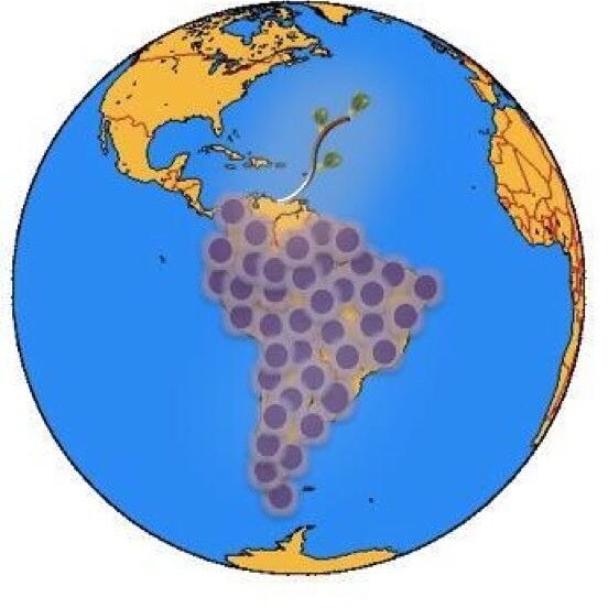 LessiMarcano's tweet image. Sigan enviando sus 
currículum vitae al correo Lessimagic@gmail.com

Deléitese en 
@YouTube 
Con acontecimientos día a día  y el innovador Proyecto para toda América, África y Australia.
@LessiMagic

Gracias por TODO.

Miércoles 10 de Junio de 2020
Lessi Marcano
Arquitecto