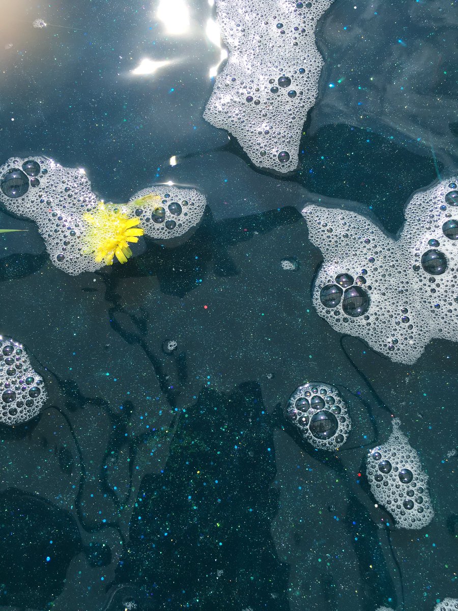 MissHall tweet media