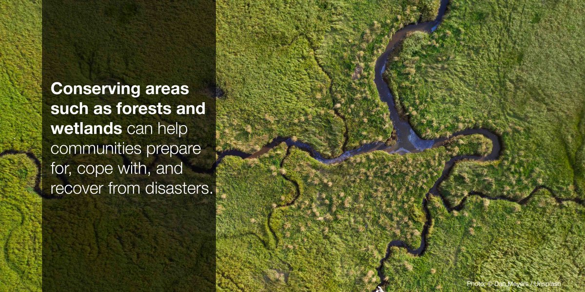IUCN (@iucn) on Twitter photo Nature can be a cost-effective solution to reducing risks from disasters. 
Find out why we urgently need to invest in it ow.ly/uu4950x7Ddp #NatureBasedSolutions #ConservationWorks Nature can be a cost-effective solution to reducing risks from disasters. 
Find out why we urgently need to invest in it ow.ly/uu4950x7Ddp #NatureBasedSolutions #ConservationWorks
