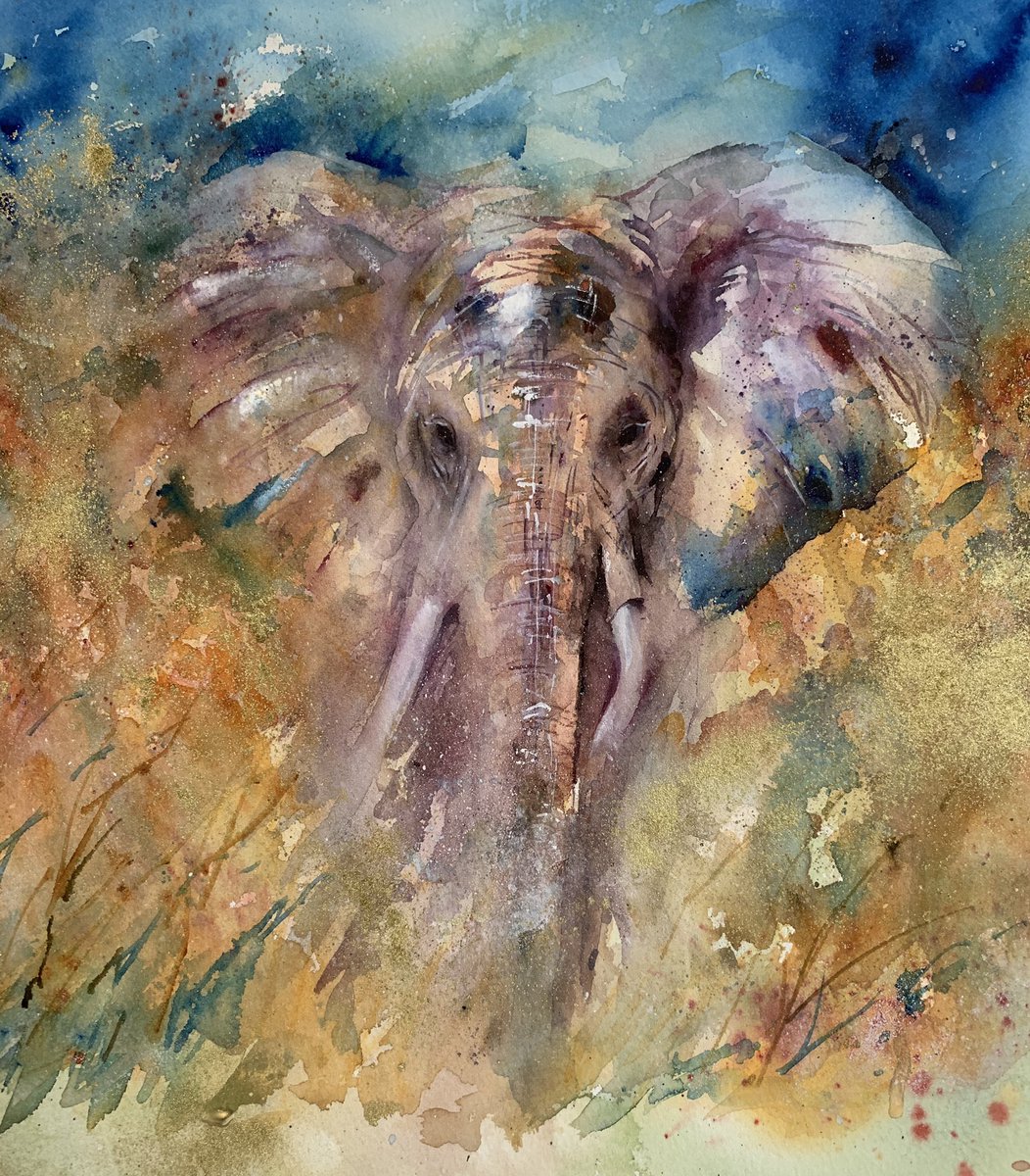 JeanHaines's tweet photo. “Majestic” New work. Elephant in watercolour. #elephant #art #Watercolour #watercolorpainting #artist #WednesdayMotivation https://t.co/htKTxz4mSR