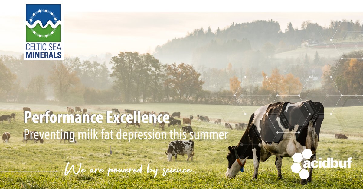 👩‍🌾 How to prevent #milkfat #depression this summer? 
🥛 #AcidBuf maintains your #butterfat levels!
📰 Read the article @ABVistaGBIRE 
➡️ow.ly/96Ul50A2BqU

Get powered by our #science

#acidbuf #celticseaminerals #grassstaggers #grasstetany #dairyfarming #dairy #teamdairy