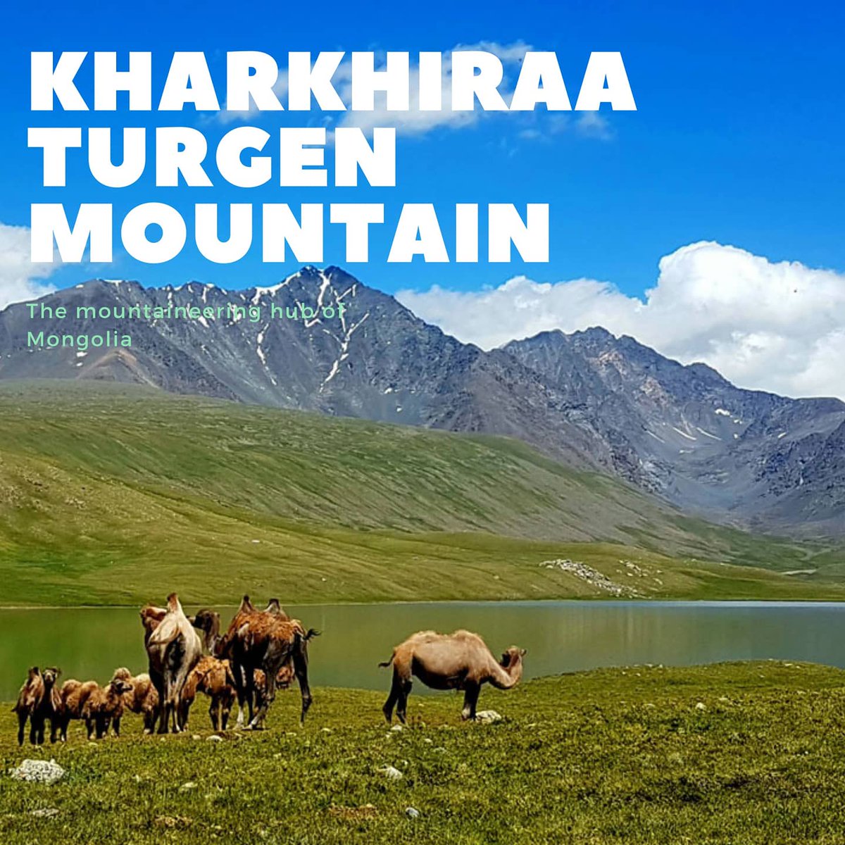 Across_borders1's tweet photo. The Kharkhira Turgen is a #mongolian hidden gem, perfect for mountaineers. After exploring the hidden valleys of #Alps, #Rockies, #Himalayas, why not explore the Mongolian #Altaimountains? 
#mongols #ulaanbaatar #genghiskhan #chinggiskhaan #kharkhiraa #mountains #altai #trekking https://t.co/cweqo62cdD