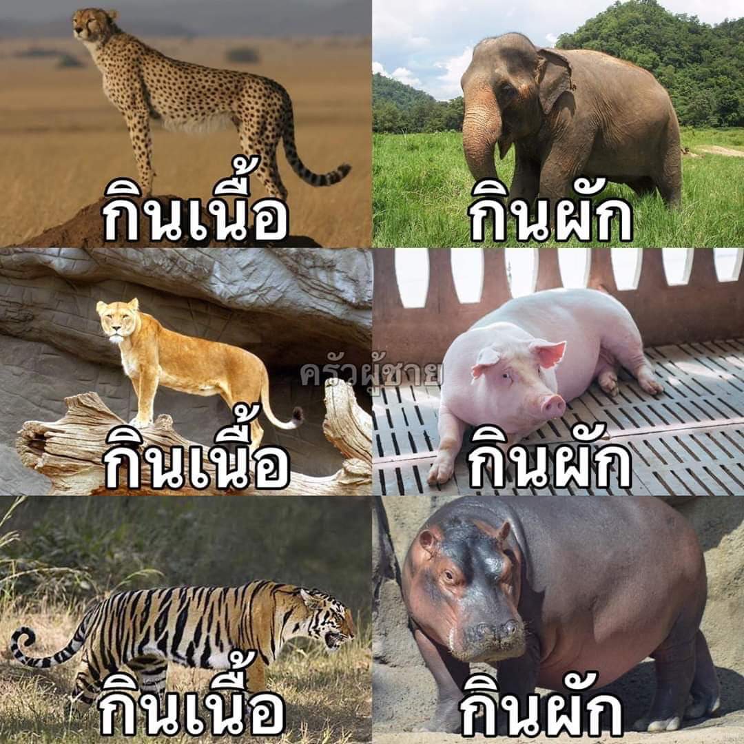 ชัดแล้วนะคะเพื่อนๆ