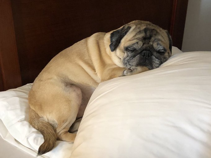 Maude is a refresher https://t.co/i3vo0yE8hT<a href="/tag/warriors"class="tags"><span>#warriors</span></a><a href="/tag/humor"class="tags"><span>#humor</span></a><a href="/tag/comeouttoplay"class="tags"><span>#comeouttoplay</span></a><a href="/tag/cultclassic"class="tags"><span>#cultclassic</span></a><a href="/tag/favoritefilms"class="tags"><span>#favoritefilms</span></a>