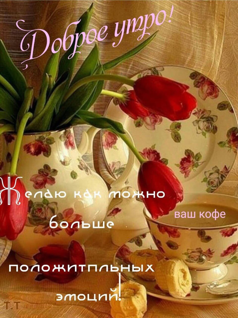Доброе утро Ольга Сандалова