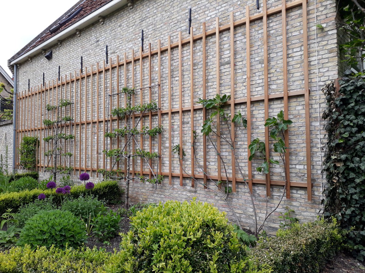 Bij een eeuwenoud pand in de binnenstad van Franeker hadden de bewoners de wens om de naastliggende panden minder zichtbaar te maken. frisiabergum.nl
