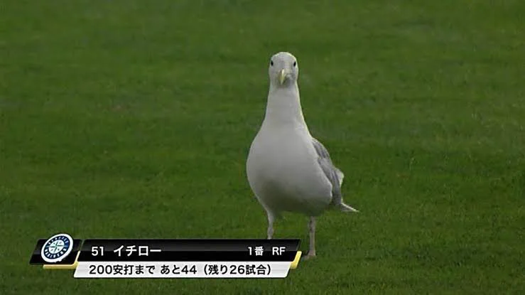 有名選手ほどなりやすい？鳥に変えられた野球選手シリーズwww