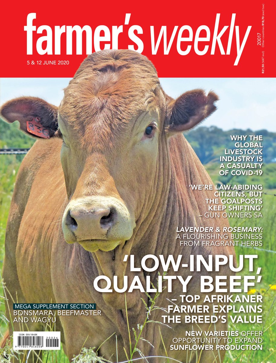The latest #FarmersWeeklySA magazine is on sale! We speak to Jacquies Steenkamp about why he believes the Afrikaner breed is so well suited to extensive beef production in demanding areas.