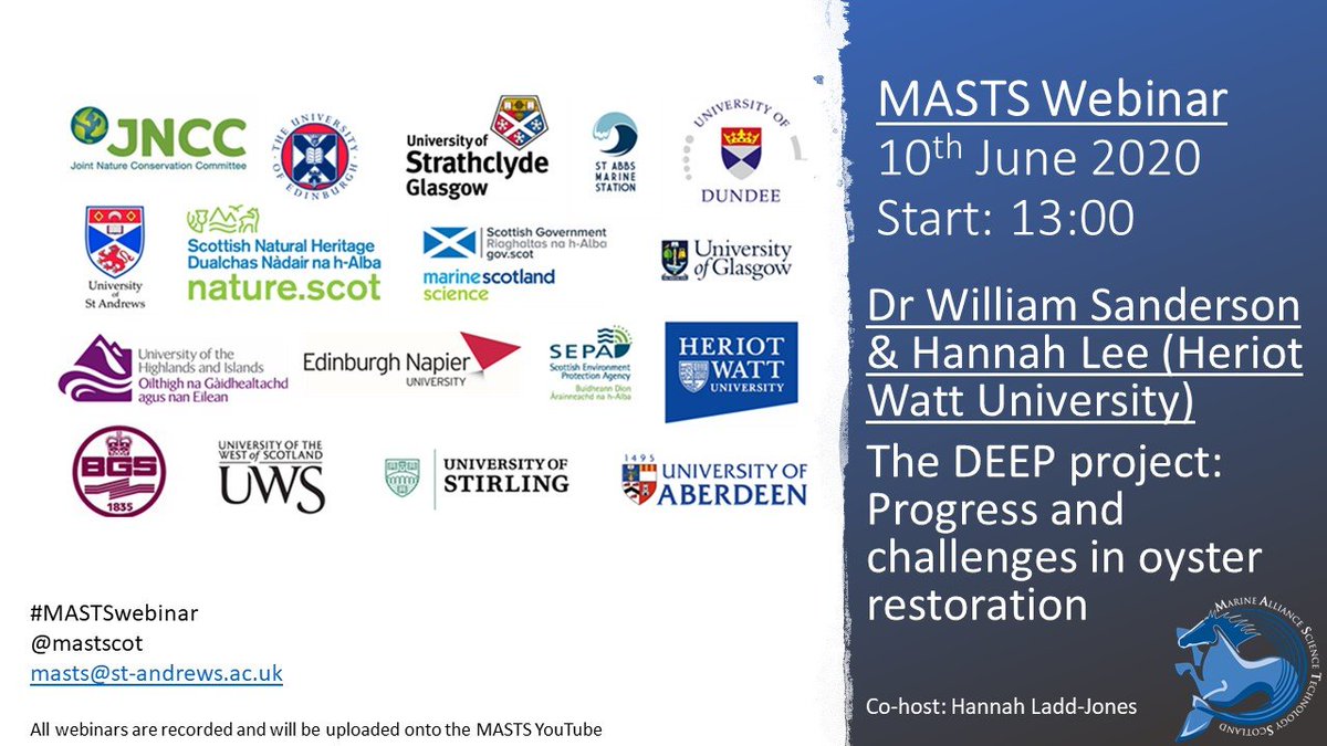 Make sure to sign up for today's #MASTSwebinar with @HeriotWattUni  DEEP project researchers Dr Bill Sanderson & Hannah Lee talk all about #OysterRestoration🌊
It's free and will have a live Q&A: zoom.us/webinar/regist…