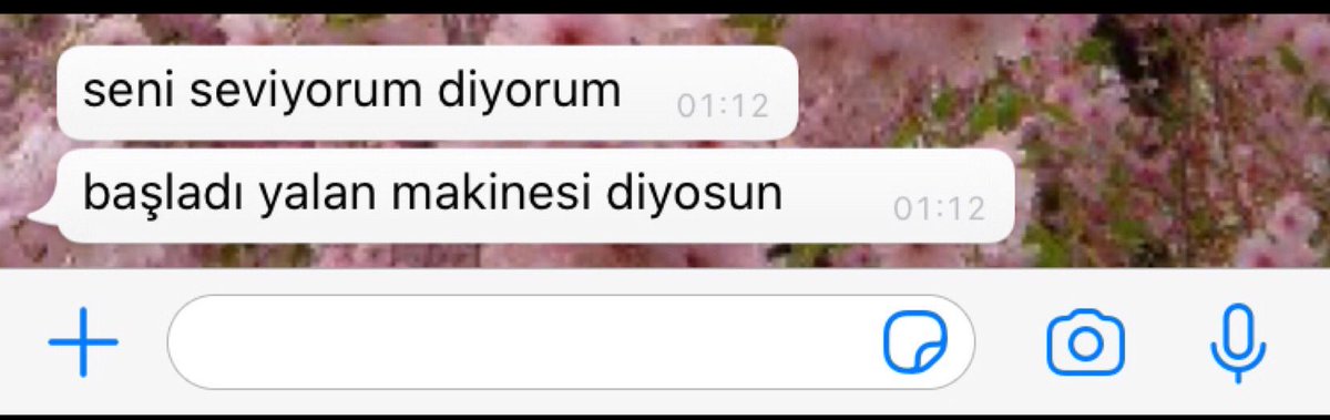 Miatfiz🌾 (@aselciim11) on Twitter photo 