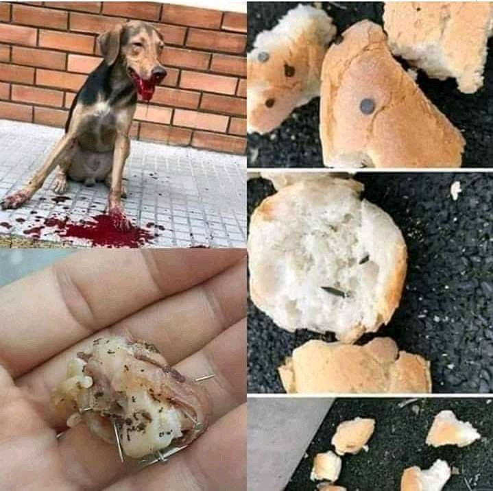 brainaffinity's tweet image. Why is this happening?😓😓