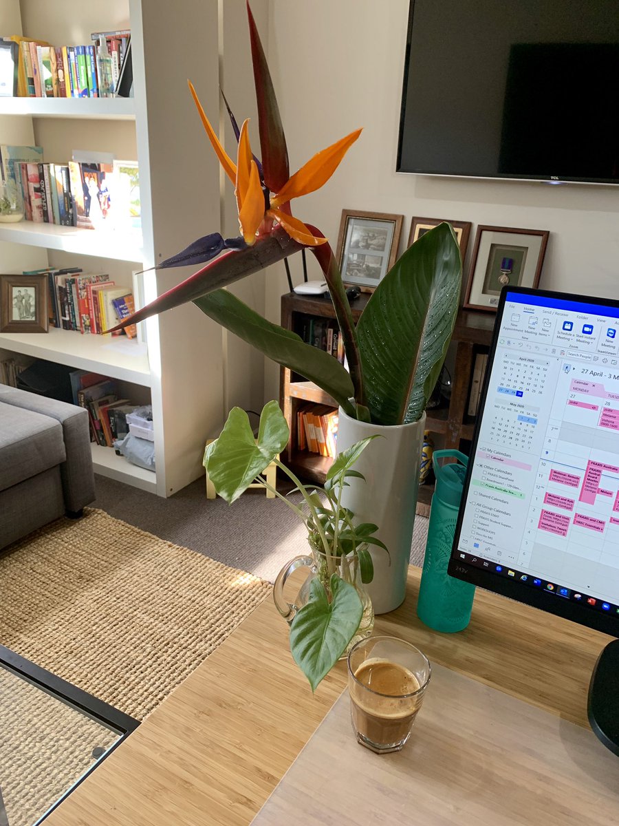 praxisaus's tweet photo. Our team @praxisaus have always supported #flexibleworking. It helps us all to manage our selves and our work lives more effectively. Here’s to more flexible practices across more businesses. #Silverlinings #covid19 #flexibleworkday https://t.co/HCF1SrAI8k