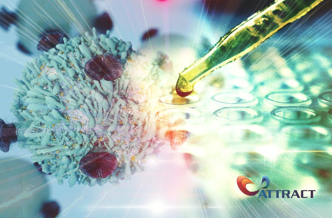ATTRACTEU's tweet photo. [ATTRACT Projects 📢]  
Learn about the project SRS histopathology,  a collaboration between @InstitutFresnel &amp; APE Angewandte Physik &amp; Elektronik 

Check their project 👀: 

https://t.co/jmk6lgdDFO 

#ATTRACTProjects  @EU_H2020 #EUfunded https://t.co/5AoUpBfMJg