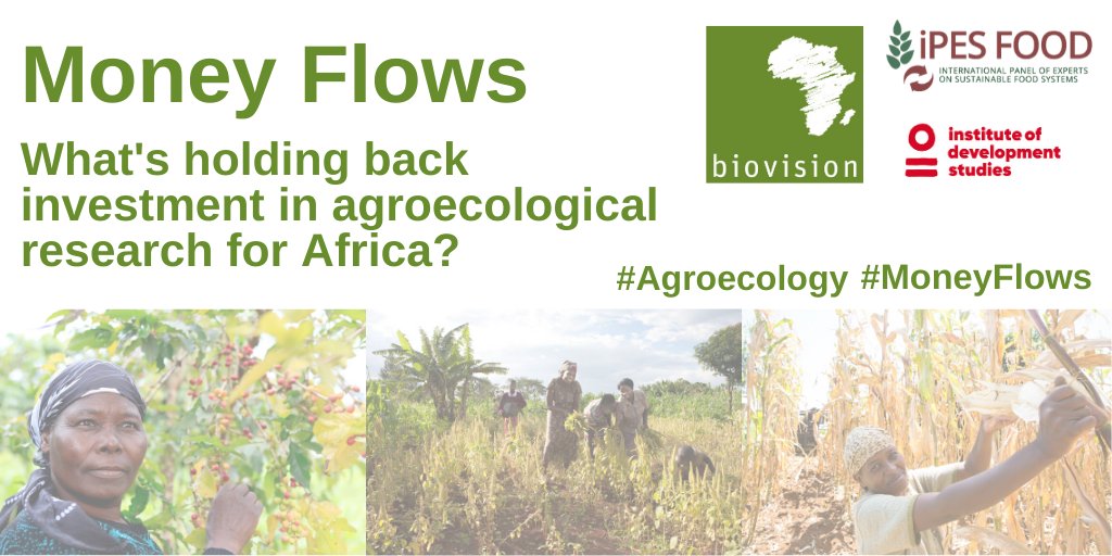 biovision_org's tweet photo. NEW 📰 The #MoneyFlows Report by IPES-Food, IDS + Biovision is out! We look at financial flows in #FoodSystems + we find out just what is holding back investment in agroecological research in #Africa 🌱🌍

➡️https://t.co/CWoTrbIiMP

@IPESfood @IDS_UK @FutureForAll #Agroecology https://t.co/JVi2a9kxpT