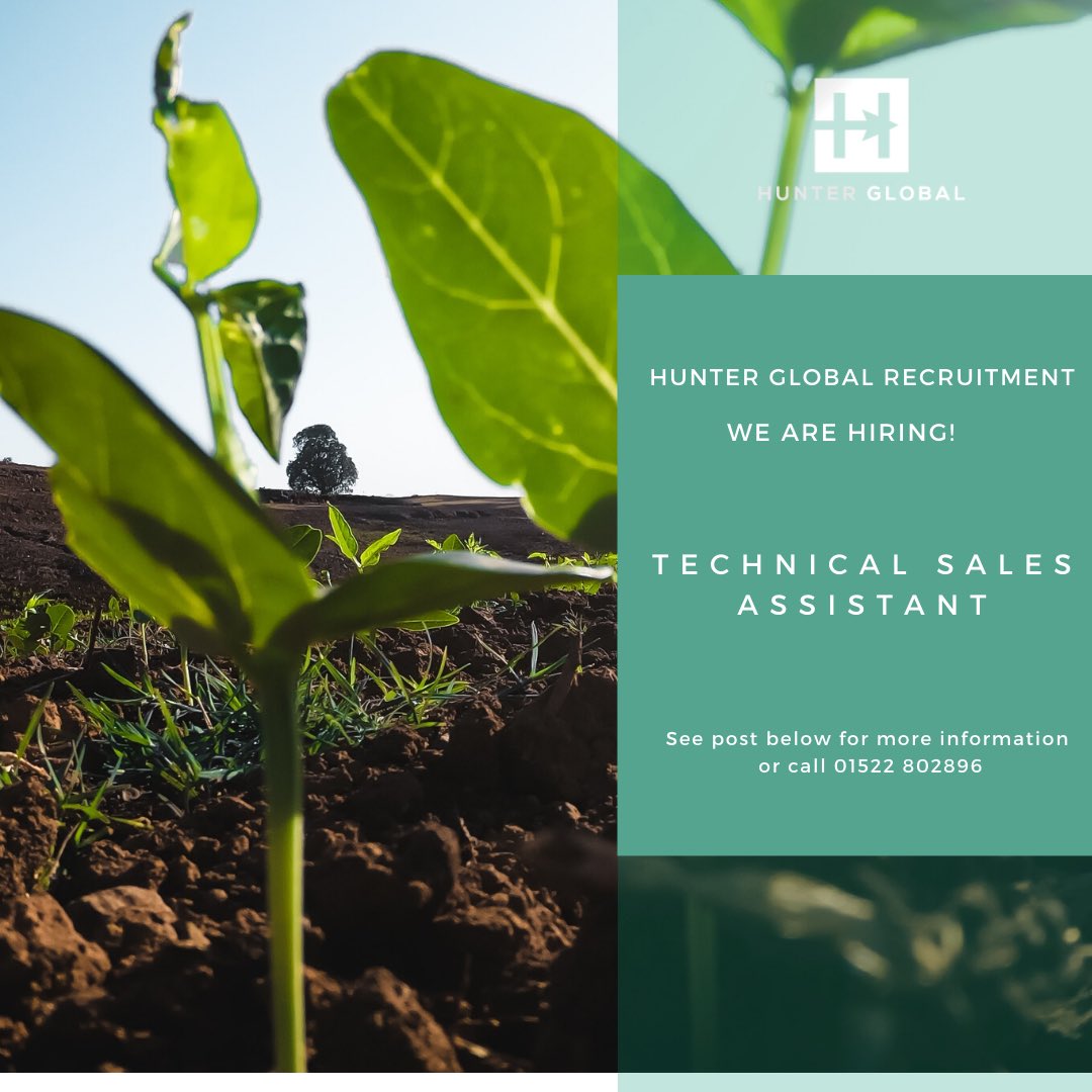 Hunter Global Recruitment tweet media