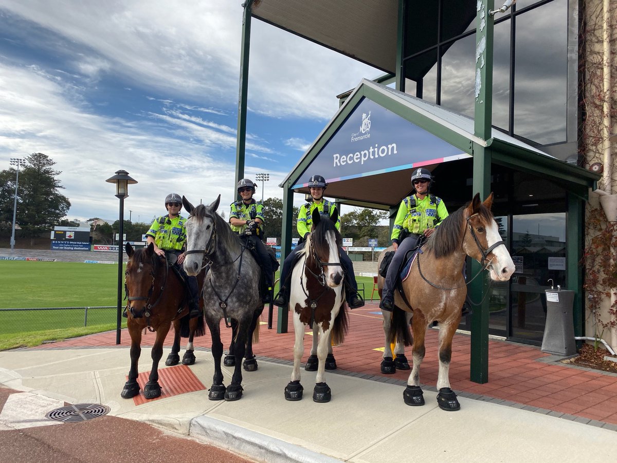 Mounted Police patrolling the Fremantle CBD today as part of an operation targeting anti social behaviour.
#fbfre #mountedpolice