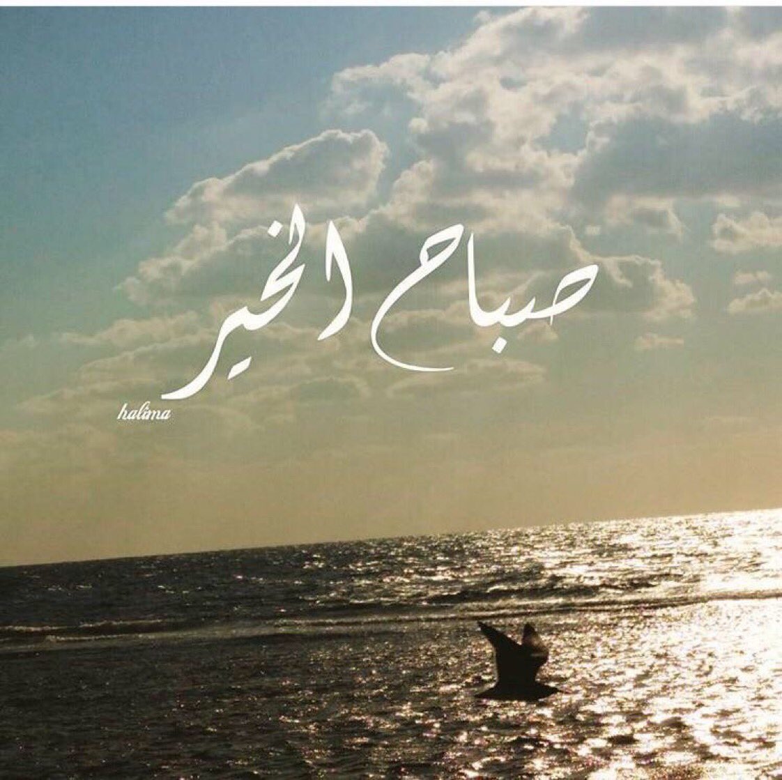 صباح هادئ ، يعزفَ آملاً ، ۆ يكتب حروفاً جديدة للسّعآدة صباحكم أجمَل من الورد يسعد صبآحكم ...