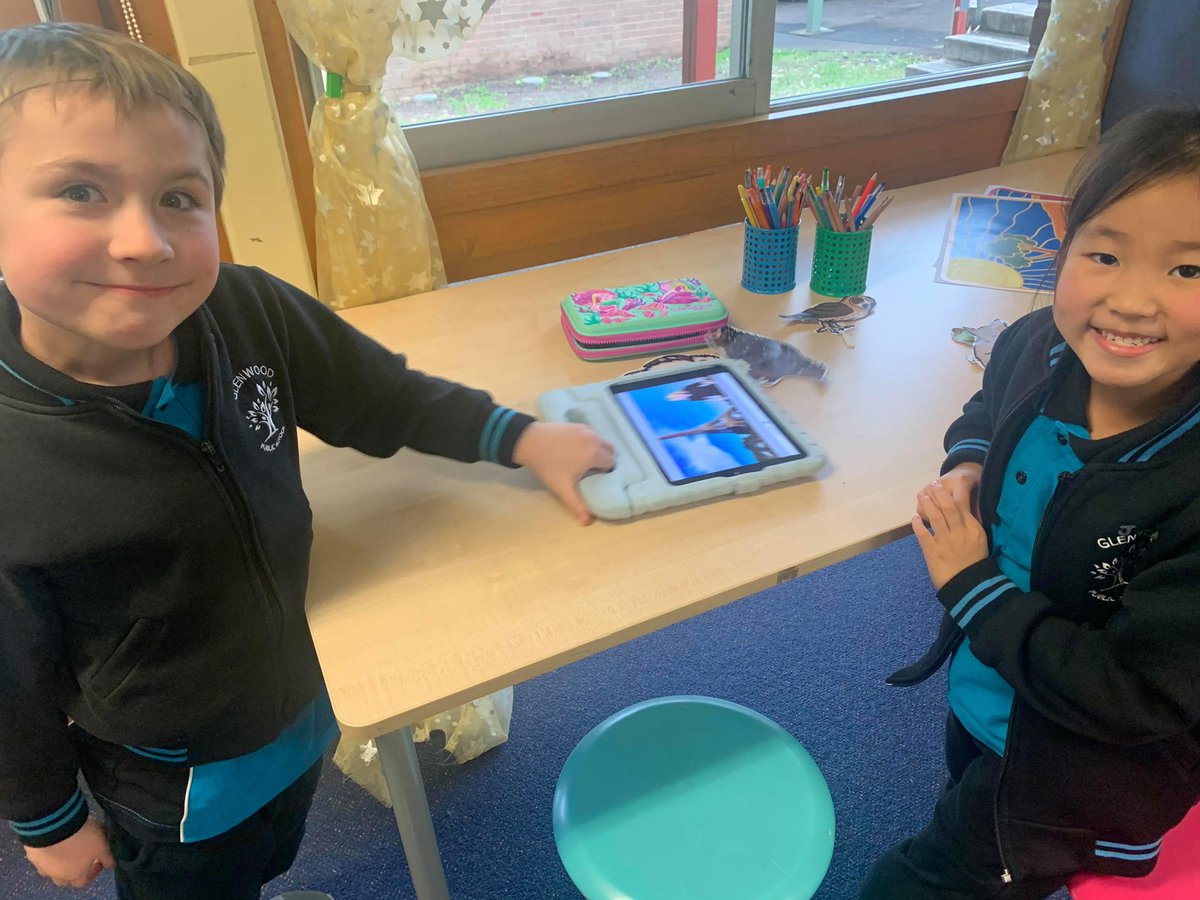 PSGlenwood's tweet image. 1/2E retelling Dreamtime stories using puppets and green screens. So much team work and so many smiles. @DoInkTweets @WebtekMediaOz