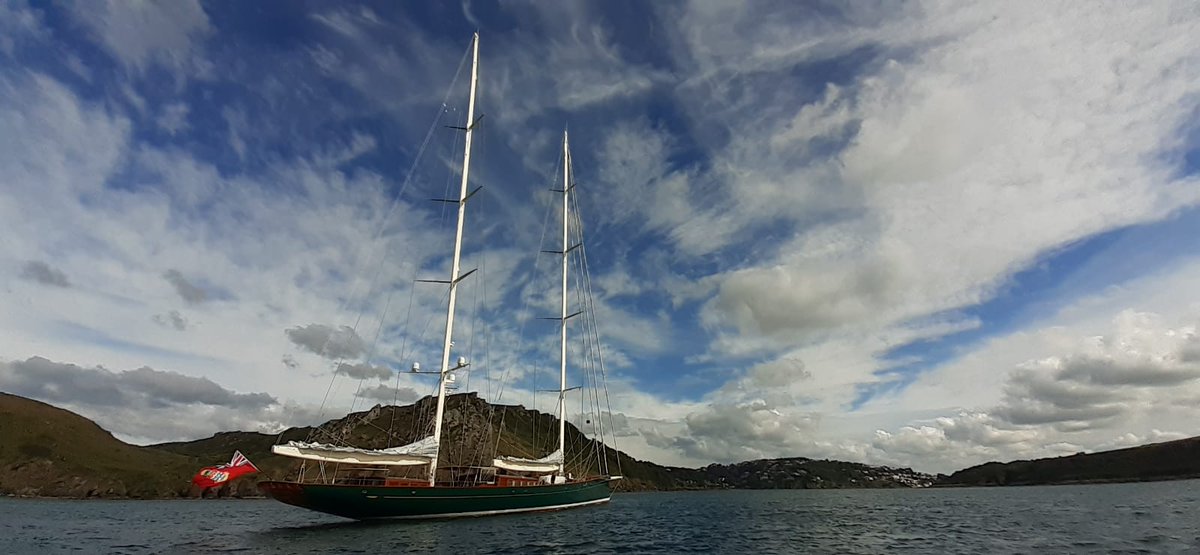 Toby Hodges tweet media