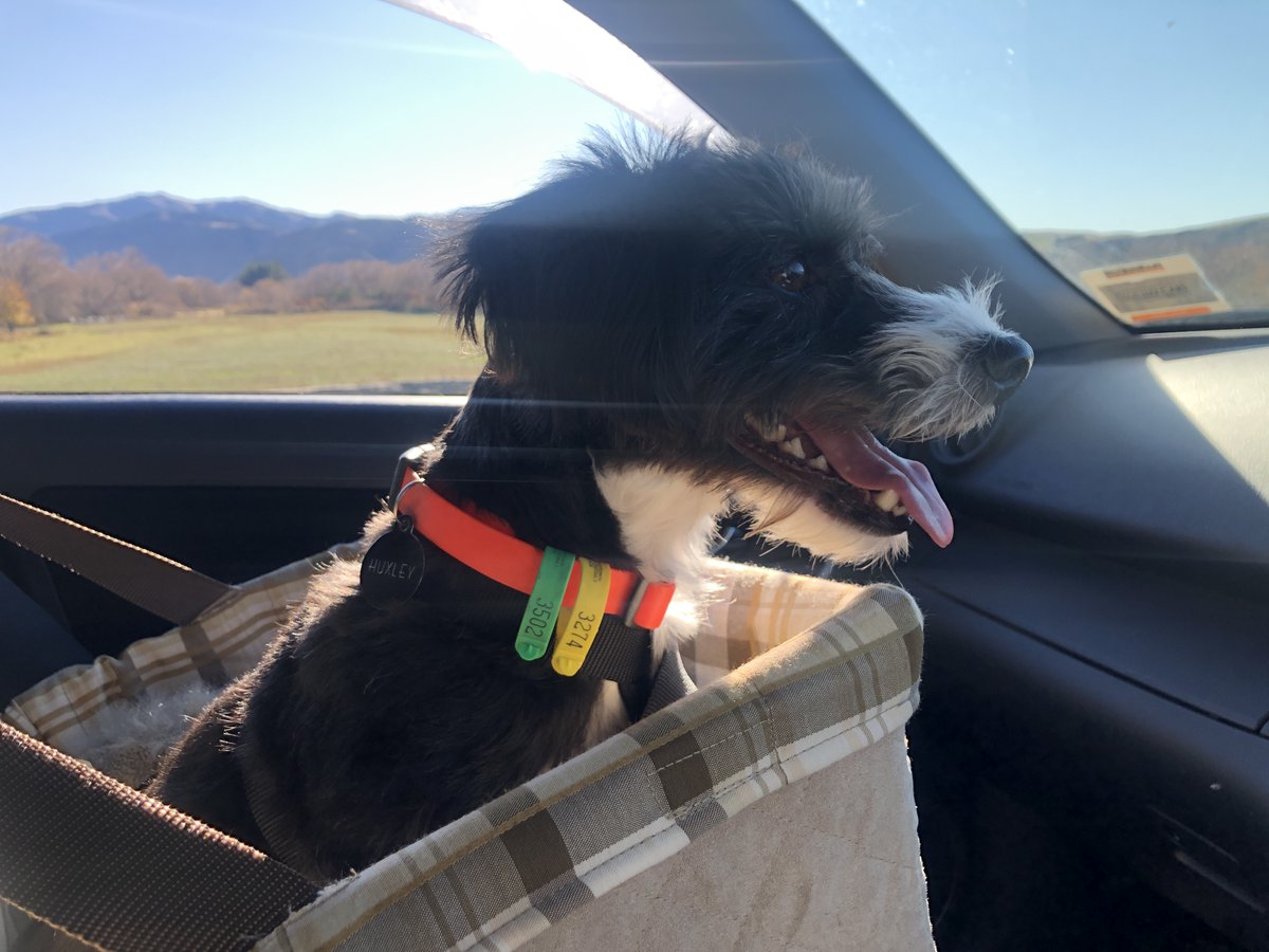 lara_kirk's tweet photo. Being back on the road means listening to more podcasts. YAY! Today ep 7 of #OutClassedPodcast. There were many little nuggets of gold. All about leadership in edu. @MikeReading  and @BlakeSeufert asked for pics of where we were listening. Huck &amp; I were near Waimete, NZ. :) https://t.co/R4ZmQ0ioJ9