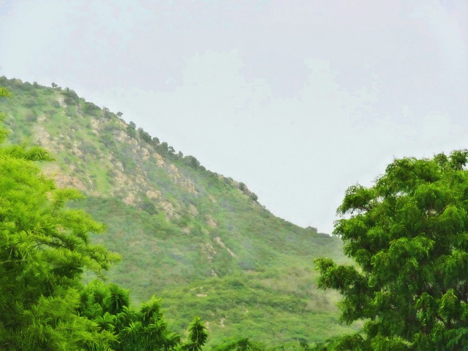 bikampadventure's tweet photo. “A rainy day is the perfect time for a walk in the woods”
.
#nature #sustainable #secure #naturecamp #rajasthantourism #incredibleindia #rustic #clouds #travel #WednesdayWisdom #beauty #beautifuldestinations #mountainview #solitude #rejuvenate #camping #wellness #meditation https://t.co/sJYBEJd2AW