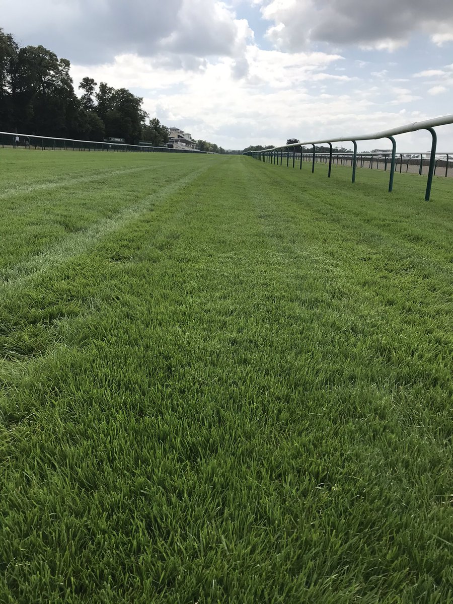 fgchantilly's tweet photo. [état du terrain] 🔹⏱ 10h00🔹🌱 Gazon 3,3 Bon Souple 🔹 lice à 7 m 🔹 météo 🌥🐎 @francegalop https://t.co/6HEY7ac4zJ
