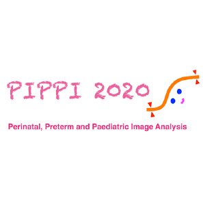 _Roxane_L's tweet photo. #PIPPI2020 is now tweeting via @pippiworkshop. Follow us to get the latest updates of this exciting MICCAI online workshop on Perinatalnatal, Preterm and Paediatric Image Analysis! Submission Deadline 1st of July 2020! https://t.co/V9WFBORfxU