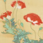 main image of this resource