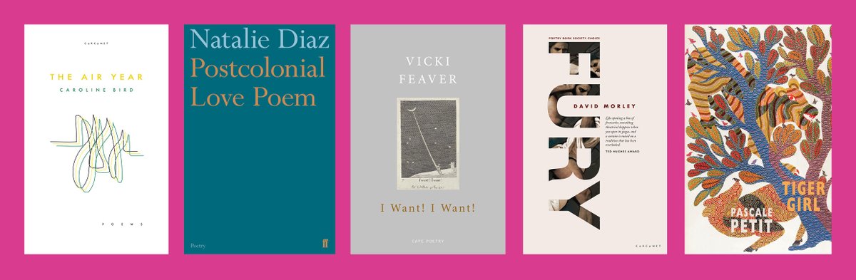 The 2020 #ForwardPrizes Best Collection shortlist:

Caroline Bird – The Air Year 
Natalie Diaz – Postcolonial Love Poem 
Vicki Feaver – I Want! I Want!
David Morley – FURY 
Pascale Petit – Tiger Girl