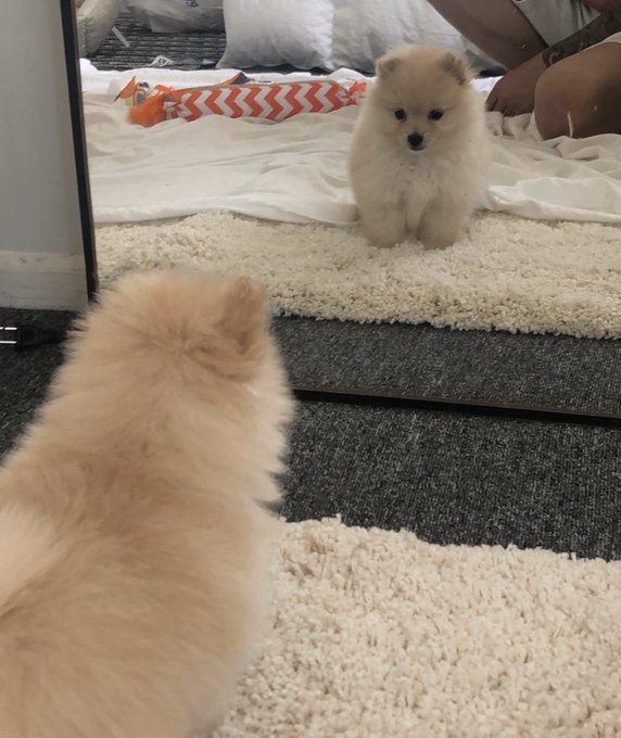 View image on Twitter