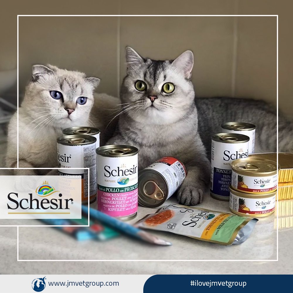 jmvetgroup's tweet photo. Schesir - 100% Natural Ingredients ✨💜💙💚💛🧡❤️🤎🤍🖤✨
#ilovejmvetgroup
#jmvetgroup
#schesir
#schesiriran
#schesirtips
#شسير
#شسير_ايران https://t.co/PvhausfXHj