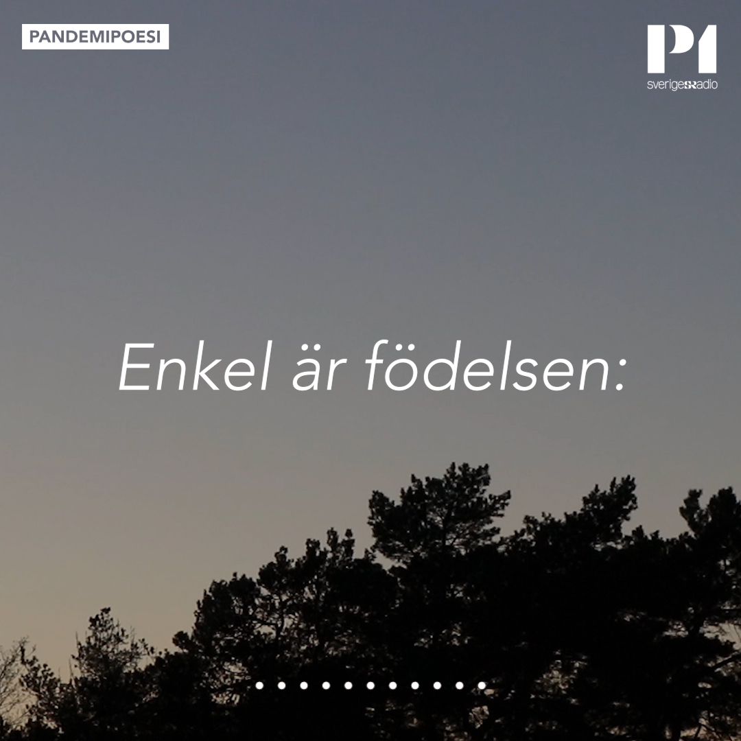 Enkel är födelsen – Gunnar Ekelöf #pandemipoesi
✍️
Inför litteraturveckan i P1 efterlyste Dagens dikt de dikter lyssnarna helst vill höra våren 2020. Lyssnaren Jonas Forsberg önskade denna dikt.
✍️
(ur diktsamlingen "Sagan om Fatumeh". Uppläsare Pontus Plaenge)