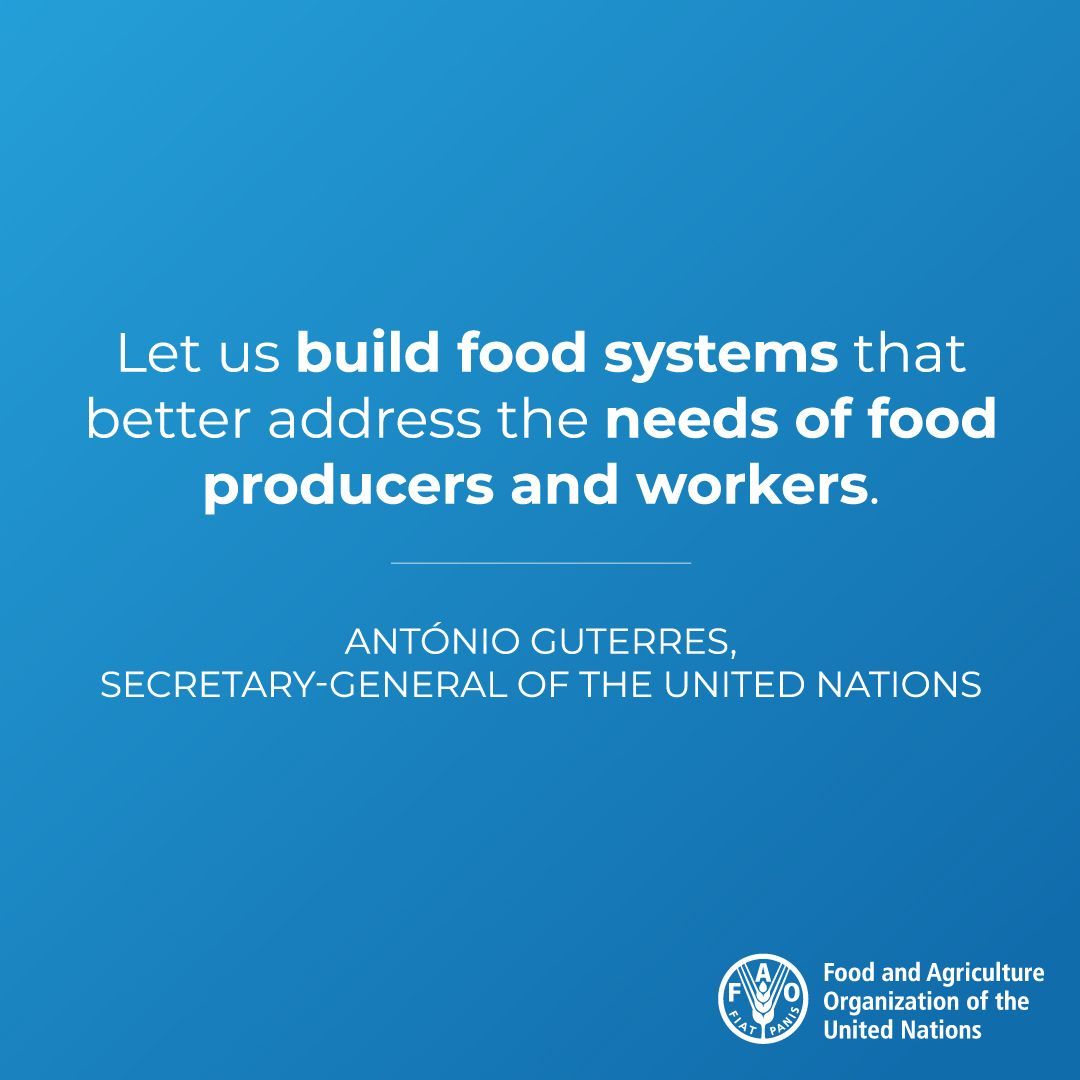 Our food systems are failing us. And #COVID19 is making things worse.

We must invest in the future &amp; transform our food systems to build a more inclusive &amp; sustainable world.

<a href="/AntonioGuterres/">António Guterres</a>' brief on Impact of COVID-19 on Food Security &amp; Nutrition 👉
bit.ly/2XNr0rN