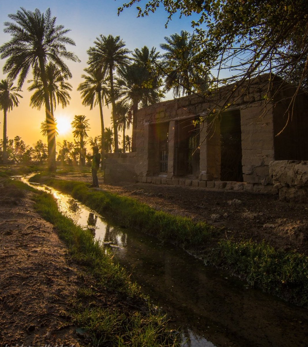 VisitAlahsa's tweet photo. لن تستمر الغمة يا أحساءُ 🌴
فالفرج آتٍ إن شاء الله

📸 حيدر الحداد @Haider_ab9as

#الأحساء
#زوروا_الأحساء https://t.co/Kv5RAFMguX