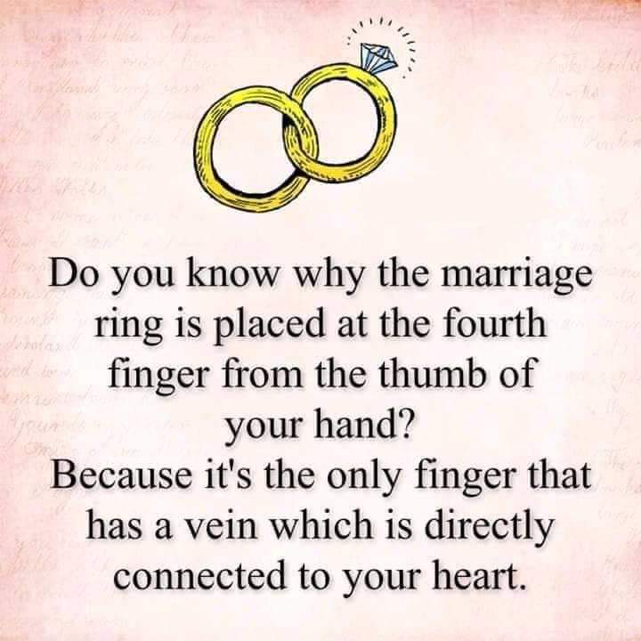 RevolverTechy's tweet image. DO you know??#lovelive