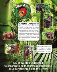 Paul Medici tweet media