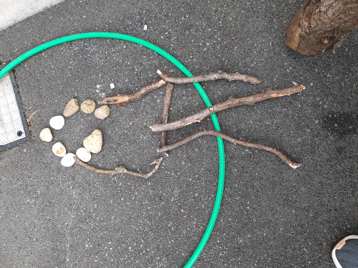 St David's Primary  Exeter tweet media