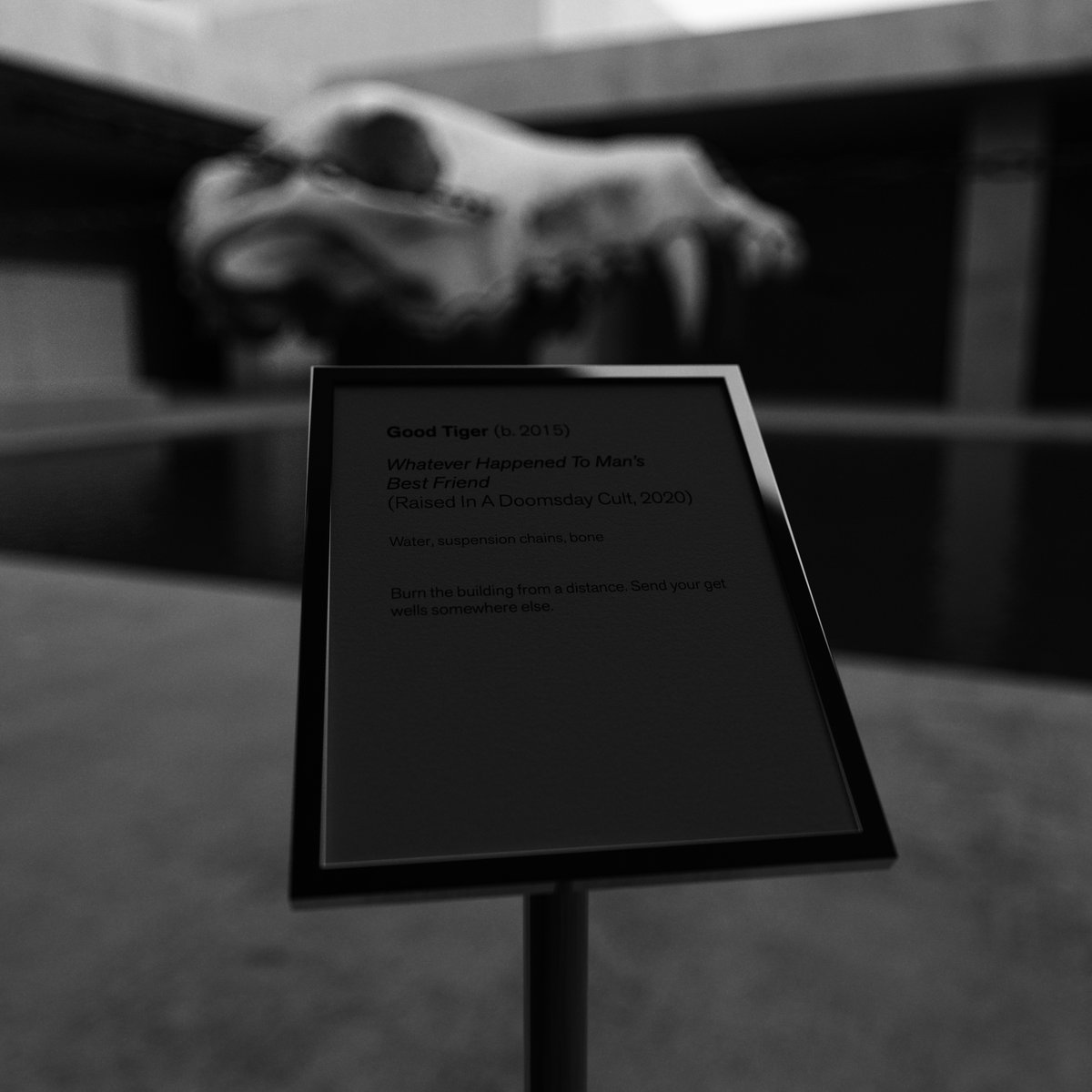 GoodTiger's tweet image. The third object 'Whatever Happened To Man's Best Friend' will be available for viewing tomorrow // 7am PDT/10am EDT/3pm BST