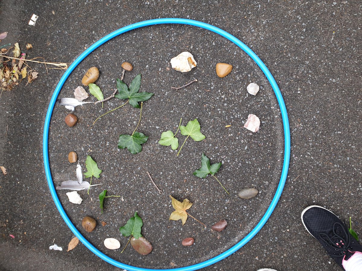 St David's Primary  Exeter tweet media