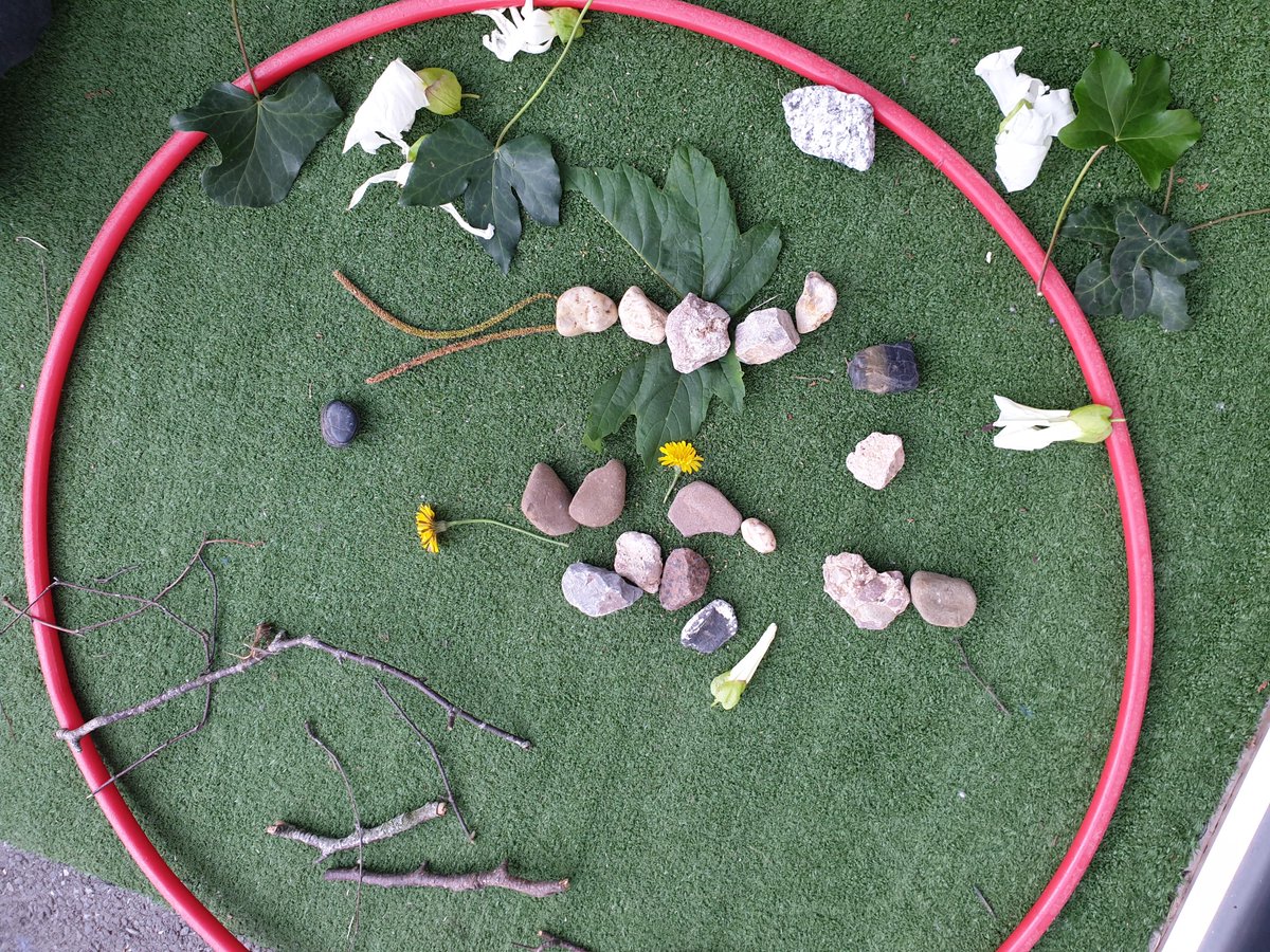 St David's Primary  Exeter tweet media