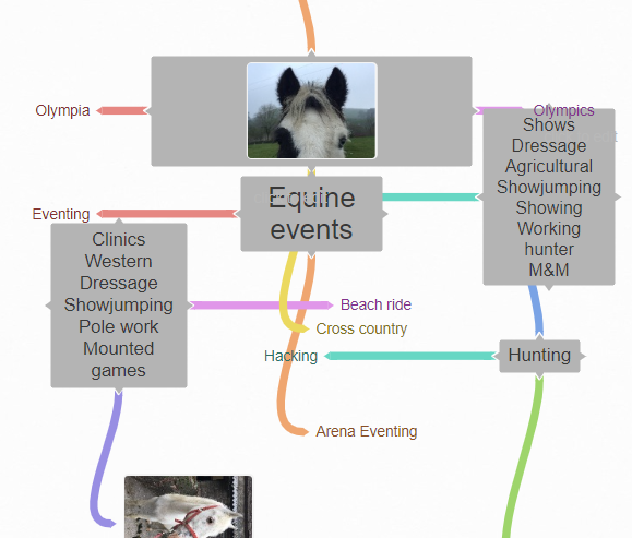 Penny__Ralph's tweet photo. Really enjoyed trialing @CoggleIt today with the Level 3 Equine students with @Zoe_CravenColl - great feedback from them for this resource #cravencollege #enrichinglearning https://t.co/gKBRed81dg