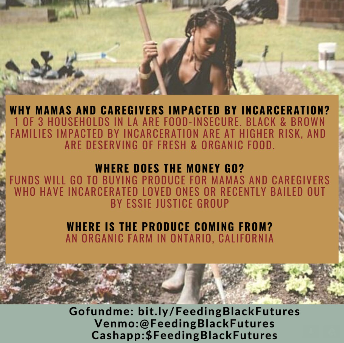 FreeThemAll2020's tweet photo. Black abolitionists raising $ for Black mamas &amp; caregivers impacted by incarceration in the LA area. Funds will buy weekly produce for 20+ mamas &amp; caregivers in LA area

⭐️DONATE + BOOST⭐️
Venmo: @FeedingBlackFutures
Cashapp: $FeedingBlackFutures
Gofundme: https://t.co/2jy0rPUEm0 https://t.co/vHSk3Qw19S