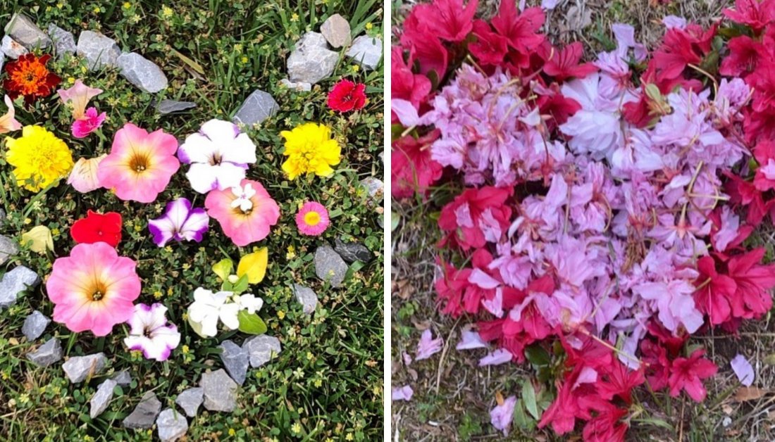 KLSchools's tweet photo. Mrs. Capuano’s 6th graders #JJMS experimented with color and texture to create artwork out of materials found outdoors. #KLActiveLearning https://t.co/FBKfdme7aY
