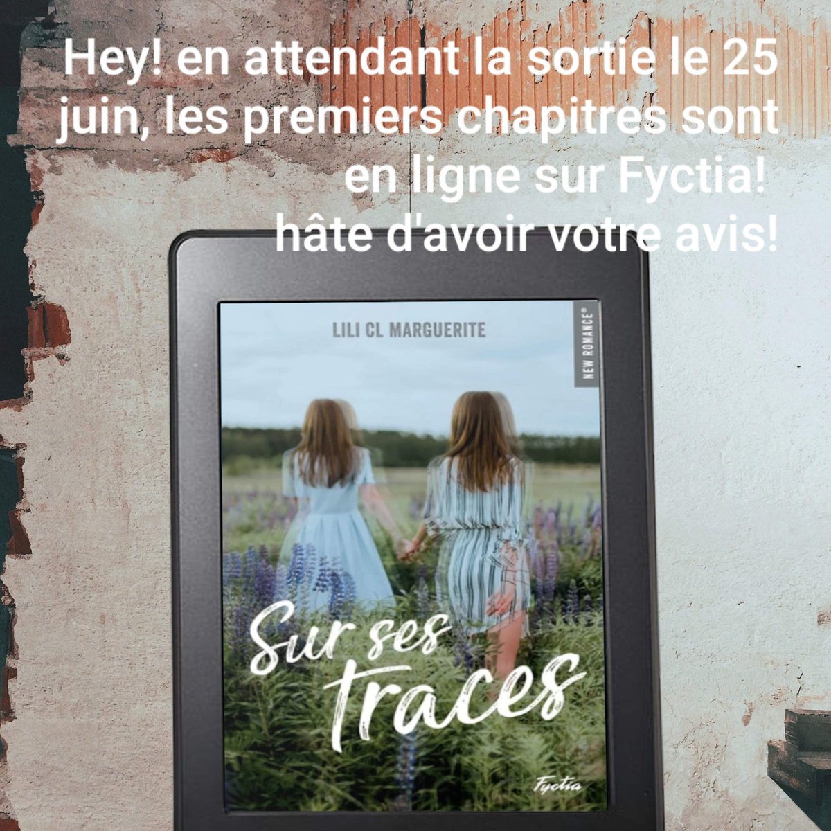 liliclauteure's tweet photo. #sursestraces #newromance #romansticsuspense @_Fyctia_ https://t.co/P8Bq5ebFDB