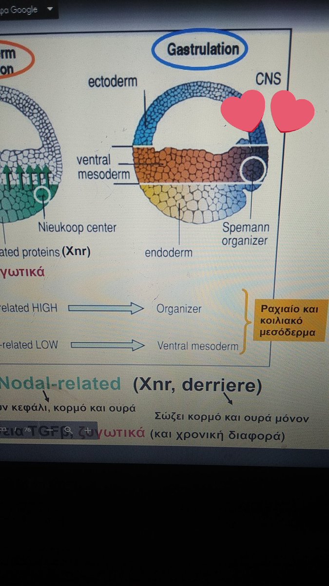 crystalljeon's tweet photo. I need to stop reading this as Chicken Noodle Soup 
Cause i am gonna fail the class 😬
@BTS_twt https://t.co/6orZB5NBRx