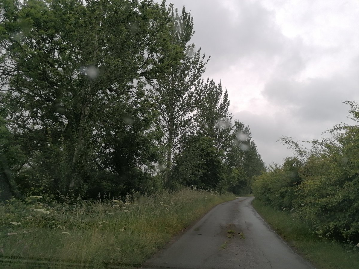 MelJD46's tweet photo. Make the most of these photos as the @LeicsCountyHall apptd #vergemurderer is out desecration this beautiful valued habitat, cuts far more than needed. And @LeicsCountyHall claim to be a "green" authority!! #saveourverges https://t.co/f0HypEzSQg