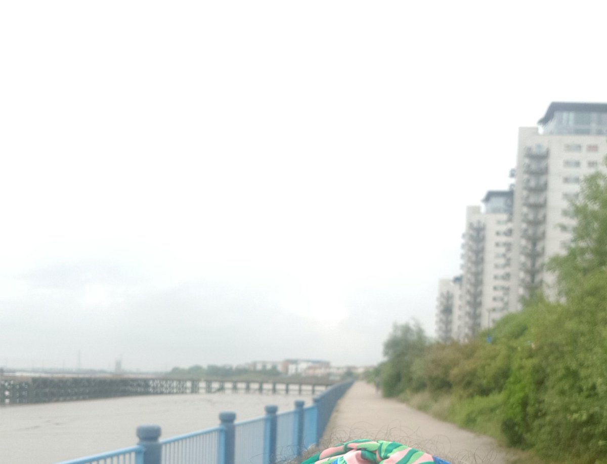 BabyMiniPicasso's tweet photo. Can't believe I'm saying this....just ran my 1st run since November- Thank-you @feastinggirl for being an inspiration ๐
I'm back on it as of today ๐คช
#simplepleasures #needtogetfitagain
#London
#lovelife
#runningmotivation
#SE18
#WednesdayMotivation https://t.co/199n5L8MzV