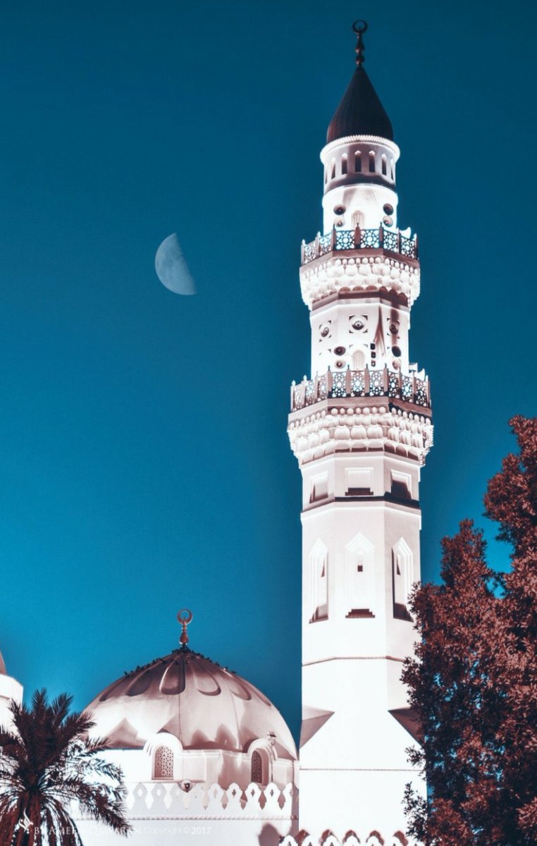 GAbalkhail's tweet photo. مساء الخير جميعا، 

هل انتم مثلي تحبون كتب طاولة القهوة؟ تدورون على كتب فيها صور خلابة؟ اجل هذا الكتاب لكم. "مسجدي هذا" من المصور @aqaisaran  يستعرض صور جماليات المسجد النبوي في #المدينة_المنورة. 

خلونا ندعم مصور محلي اجتهد في هذا العمل. لكم جميعاً خصم ٤٠٪ اذا استخدمتوا الكود👌🏼 https://t.co/rkhgHsaShn